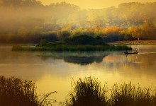 CAT TIEN NATIONAL PARK DAILY TOUR AND 1 DAY 1 NIGHT, 2 DYAS 1 NIGHT TOUR